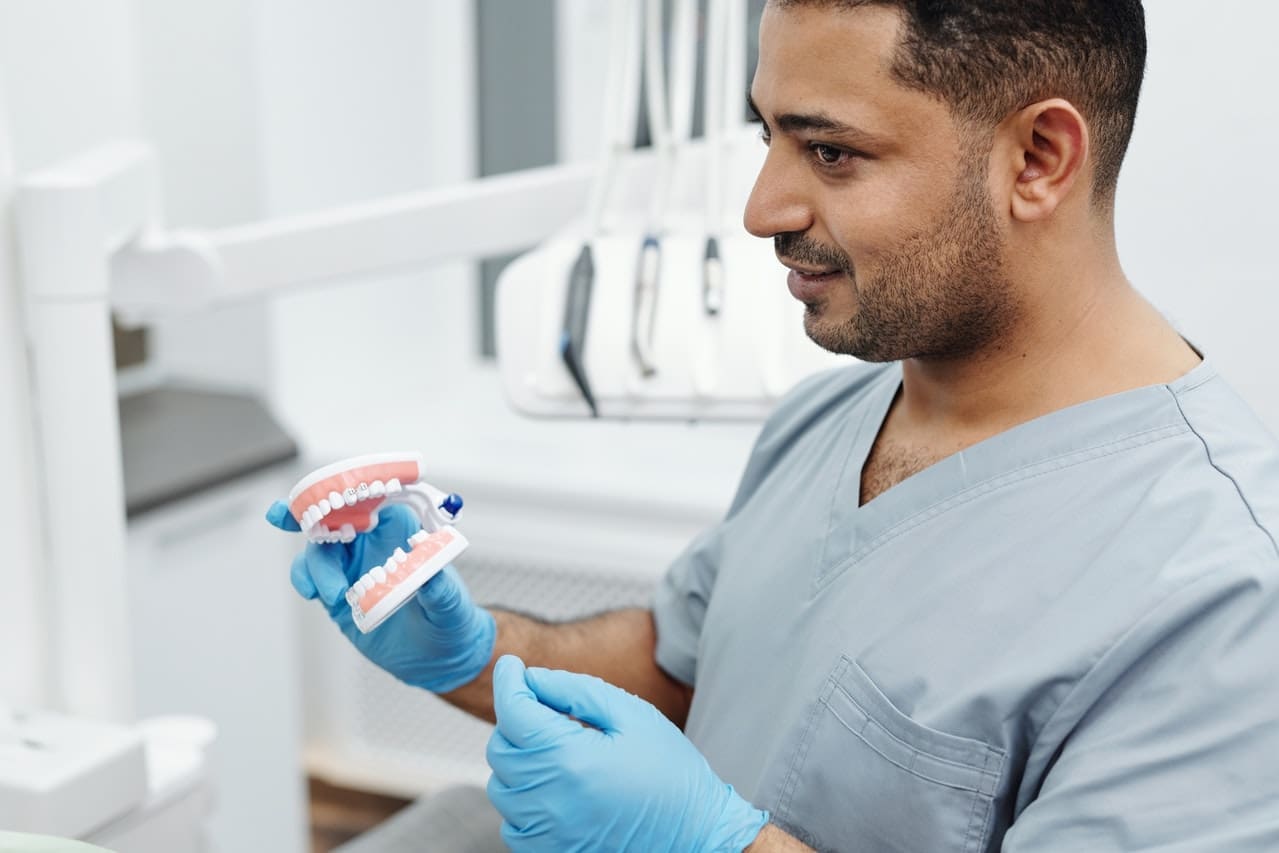 dentist holding teeth model